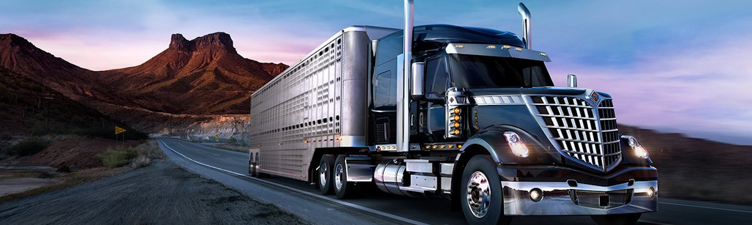 2022 International® Lonestar for sale in Riverview International Trucks, West Sacramento, California