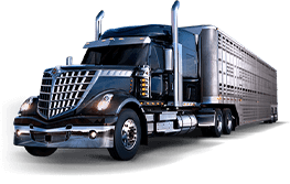Financing in West Sacramento and Redding, CA
